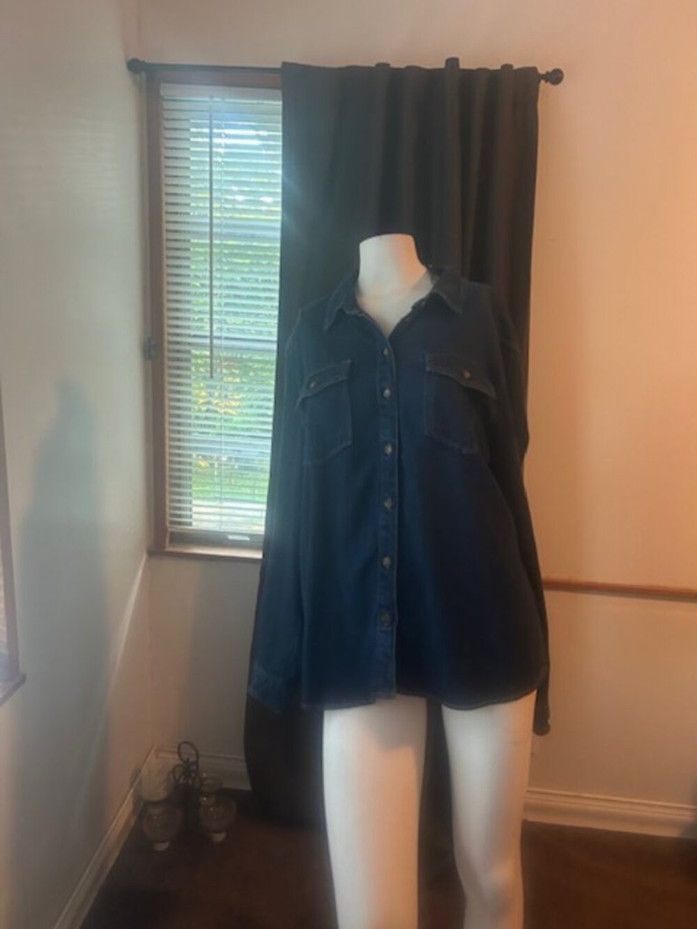Vervet Heart Denim button down shirt